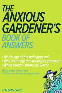 Avoid These Container Gardening Mistakes Image